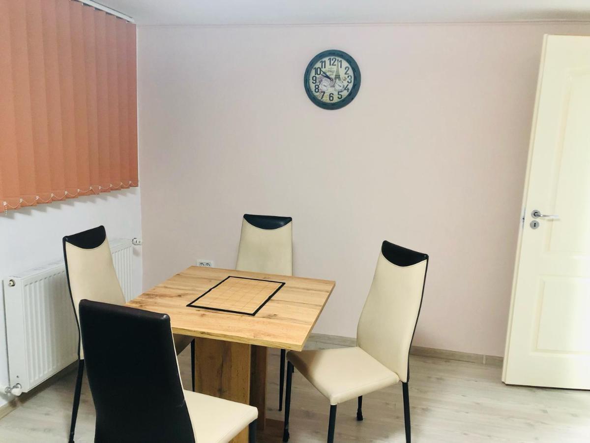 Central Park - Big Apartment - 3 Rooms - Free Parking T5 Timişoara Eksteriør billede
