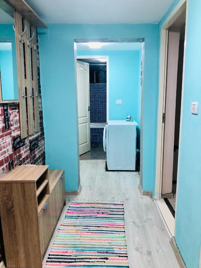 Central Park - Big Apartment - 3 Rooms - Free Parking T5 Timişoara Eksteriør billede
