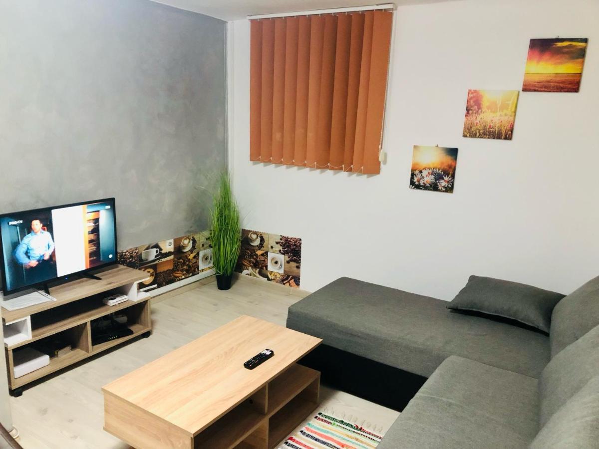 Central Park - Big Apartment - 3 Rooms - Free Parking T5 Timişoara Eksteriør billede