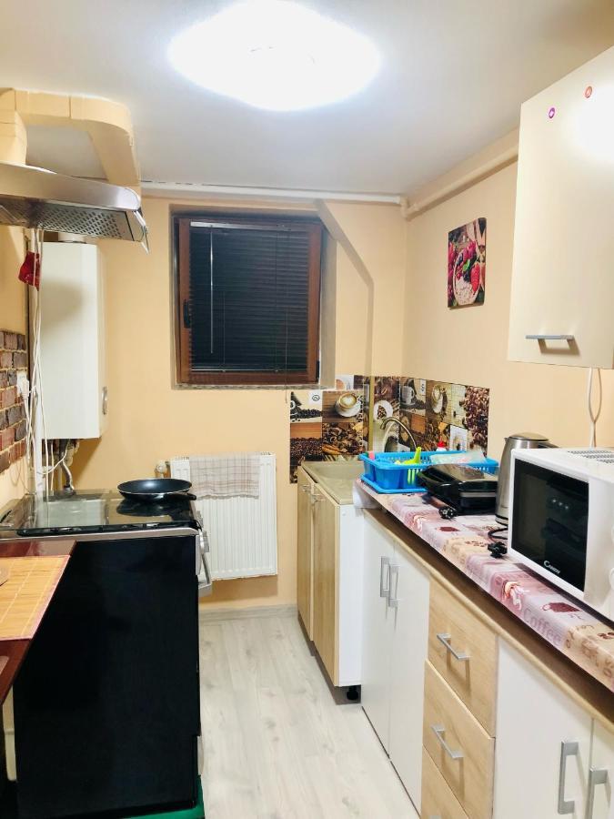 Central Park - Big Apartment - 3 Rooms - Free Parking T5 Timişoara Eksteriør billede