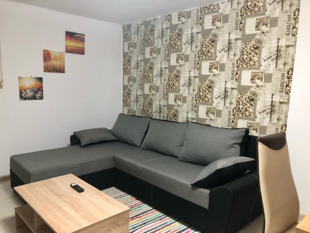 Central Park - Big Apartment - 3 Rooms - Free Parking T5 Timişoara Eksteriør billede