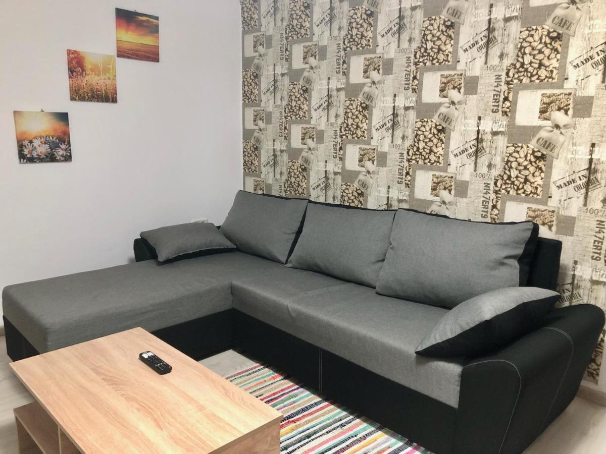 Central Park - Big Apartment - 3 Rooms - Free Parking T5 Timişoara Eksteriør billede