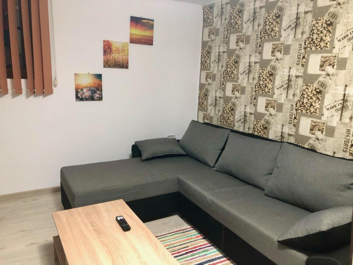 Central Park - Big Apartment - 3 Rooms - Free Parking T5 Timişoara Eksteriør billede