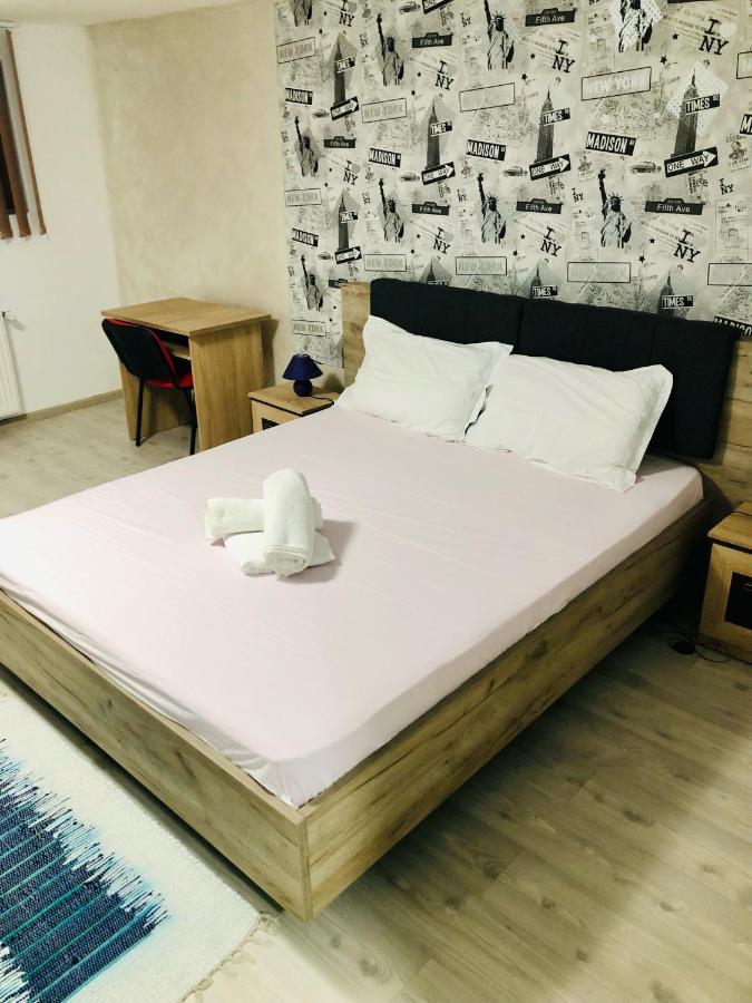 Central Park - Big Apartment - 3 Rooms - Free Parking T5 Timişoara Eksteriør billede